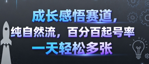 成长感悟赛道，纯自然流，百分百起号率 一天轻松多张-吾爱自习网