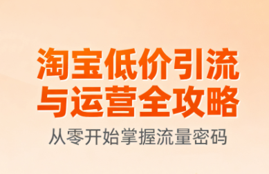 淘宝低价引流与运营全攻略(更新9月)-吾爱自习网