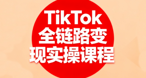 小杨老师·TikTok全链路变现实操课程-吾爱自习网
