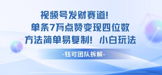视频号发财赛道单条7W点赞变现四位数方法简单易复制小白玩法-吾爱自习网