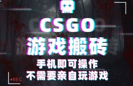CSGO游戏挂G捡漏，单日扫货5张+，年底小高峰上车可吃肉，手机即可操作，兼职副业创业网创【揭秘】-吾爱自习网