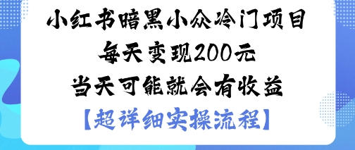 小红书暗黑小众冷门项目每天变现2张当天可能就会有收益-吾爱自习网