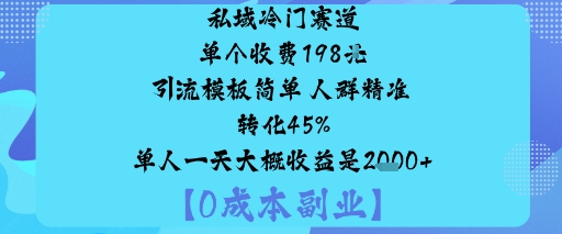 私域冷门赛道:单个收费198米引流模板简单人群精准转化45%单人一天大概收益是1k+-吾爱自习网