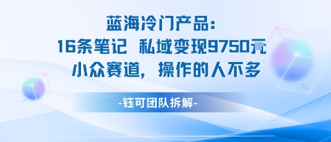 蓝海项目：16条笔记私域变现9750米小众赛道操作的人不多-吾爱自习网