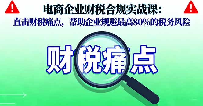电商企业财税合规实战课，直击财税痛点，帮助企业规避最高80%的税务风险-吾爱自习网