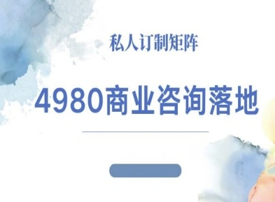 4980商业咨询师落地课程-ip运营高客单教程-吾爱自习网