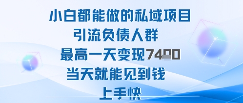 2025年小白都能做的私域项目引流负债人群最高一天变现1k+高变现难度低当天就能见到钱上手快-吾爱自习网