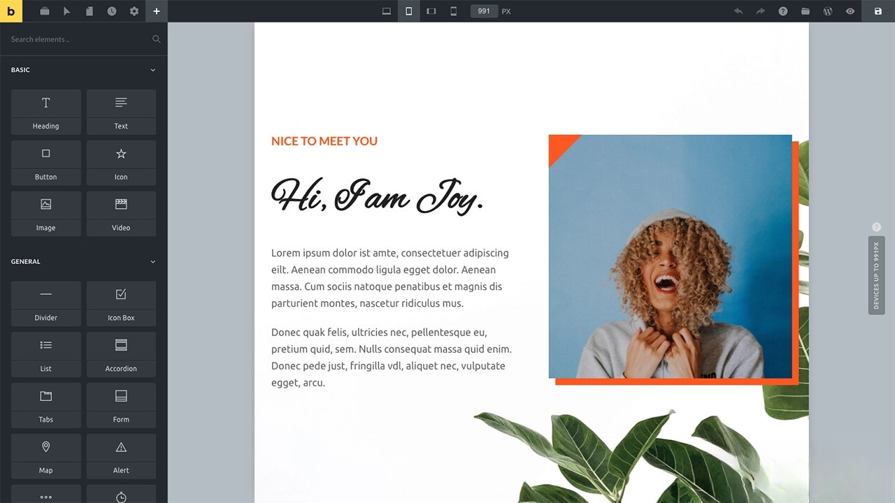WordPress主题Bricks v1.9 破解版-吾爱自习网