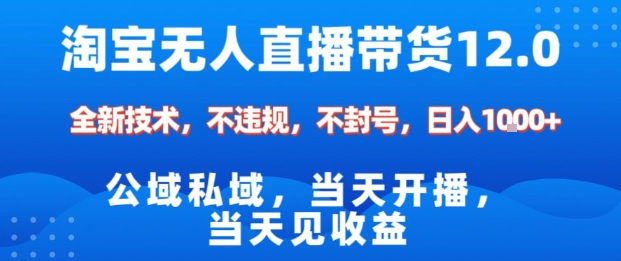 淘宝无人直播12.0，公域私域技术，不封号，不违规布局双十一流量风口，日入1k(独家技术)【揭秘】-吾爱自习网