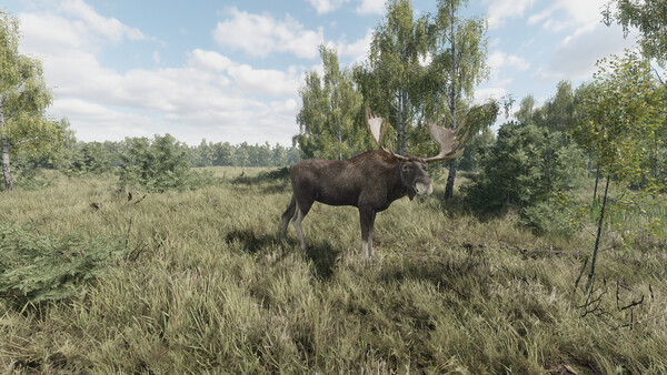 《猎捕行动/On the Hunt》PC中文版下载-含Build.20557498-吾爱自习网