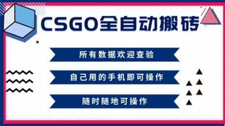 CSGO全自动搬砖,年底钱回家好项目,当天可拿到结果,新手小白轻松月入1W+【揭秘】-吾爱自习网