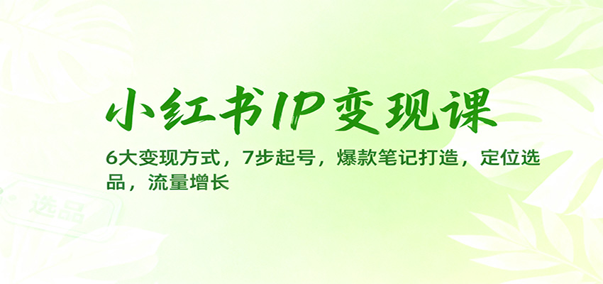 小红书IP变现课：6大变现方式，7步起号，爆款笔记打造，定位选品，流量增长-吾爱自习网