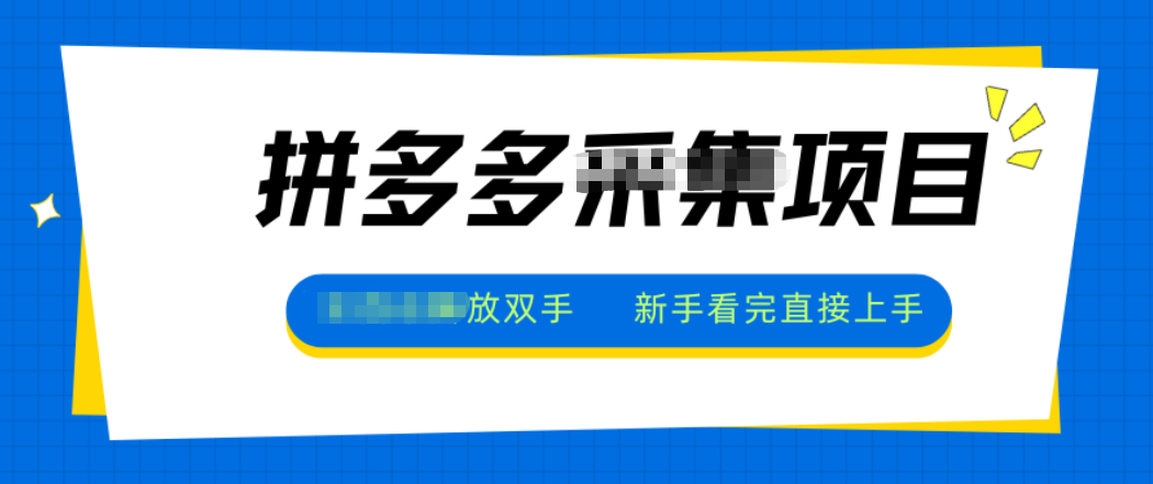 拼多多电商采集，一小时50+，操作简单，零投资-吾爱自习网
