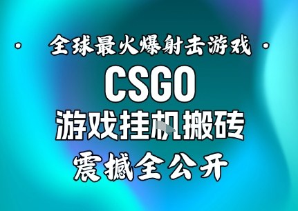 【年底大揭秘】基于全球最火爆的射击CSGO游戏挂G搬砖，日入5张+，震撼公开-吾爱自习网