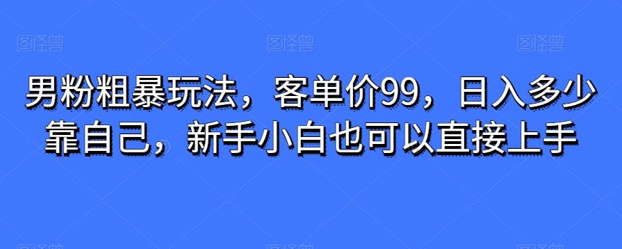 男粉粗暴玩法，客单价99，日入多少靠自己，新手小白也可以直接上手-吾爱自习网