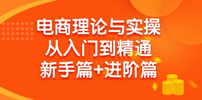 (9576期)电商理论与实操从入门到精通 新手篇+进阶篇-吾爱自习网