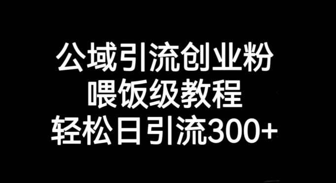 公域引流创业粉，喂饭级教程，轻松日引流300+【揭秘】-吾爱自习网