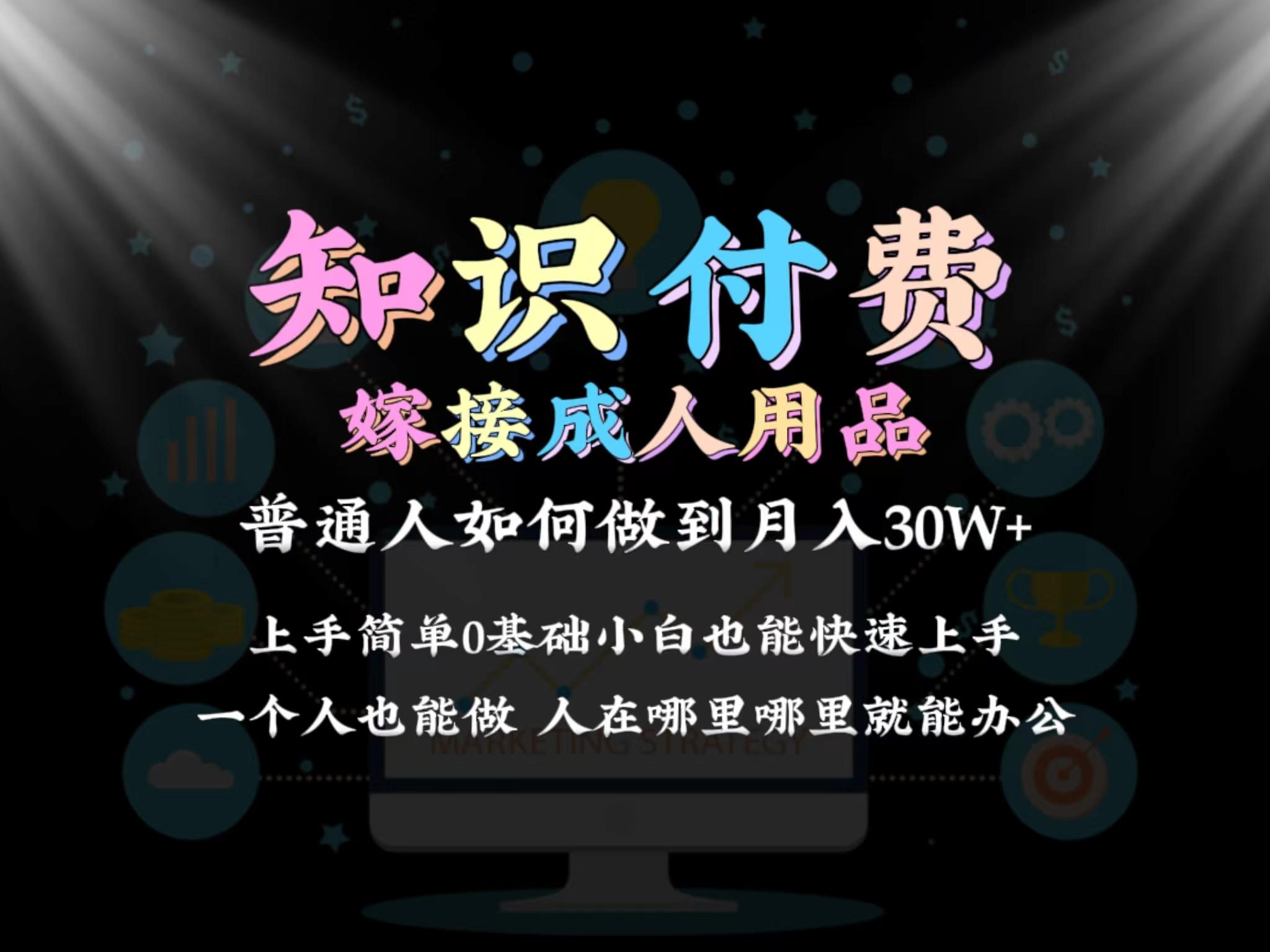 2024普通人做知识付费结合成人用品如何实现单月变现30w 保姆教学1.0-吾爱自习网