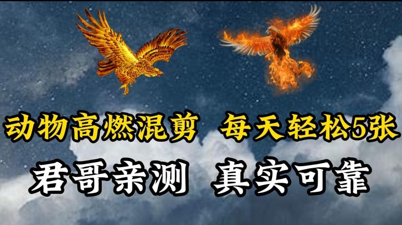 动物超燃混剪，每天轻松5张，剪辑简单大家爱看【揭秘】-吾爱自习网