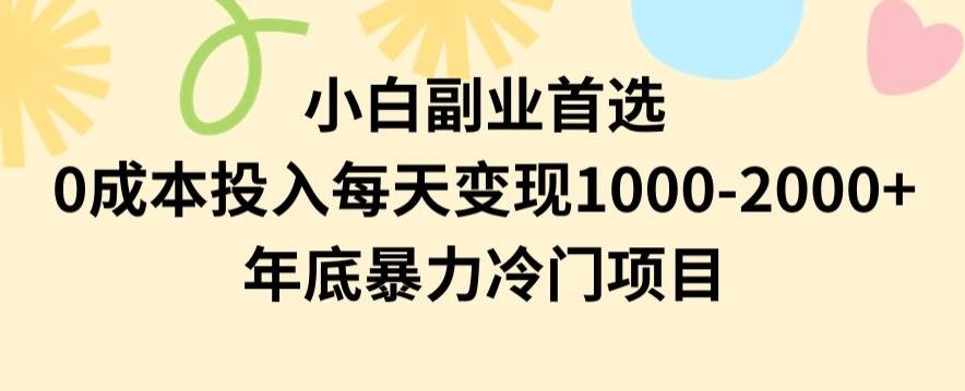 小白副业首选，0成本投入，每天变现1000-2000年底暴力冷门项目【揭秘】-吾爱自习网