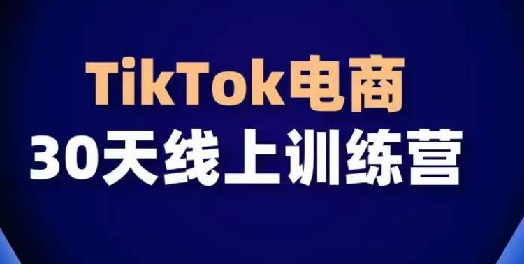 TikTok电商带货30天线上课,不可错过的全球流量洼地!-吾爱自习网