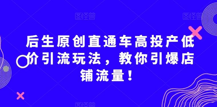 后生原创直通车高投产低价引流玩法，教你引爆店铺流量！-吾爱自习网
