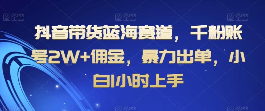 抖音带货蓝海赛道，千粉账号2W+佣金，暴力出单，小白1小时上手【揭秘】-吾爱自习网