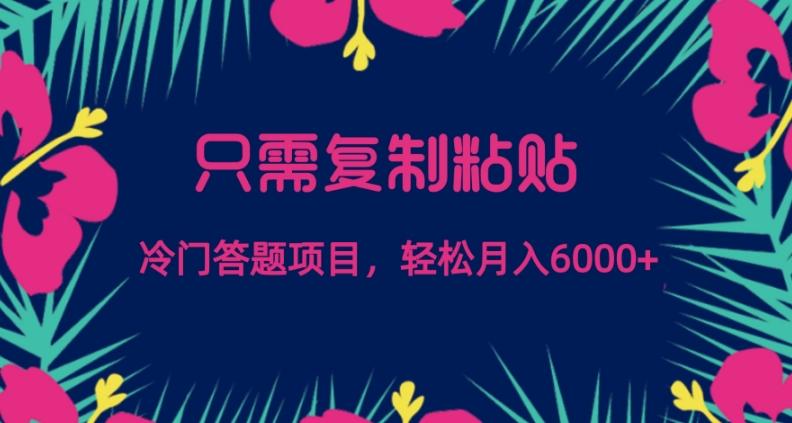 只需复制粘贴，冷门答题项目，轻松月入6000-吾爱自习网