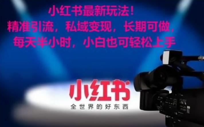 小红书最新玩法！精准引流，私域变现，长期可做，每天半小时，小白也可轻松上手【揭秘】-吾爱自习网