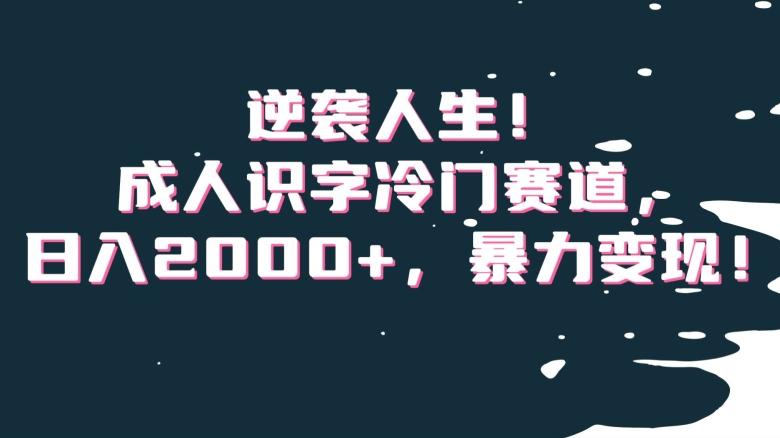 逆袭人生!成人识字冷门赛道,日入2000+,暴力变现!【揭秘】-吾爱自习网