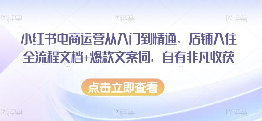 小红书电商运营从入门到精通,店铺入住全流程文档+爆款文案词,自有非凡收获-吾爱自习网