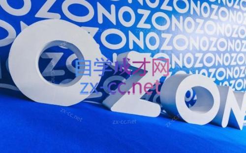 森哥·出海俄罗斯电商实操(2024)-吾爱自习网