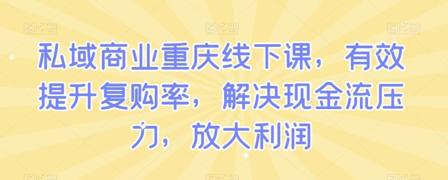 私域商业重庆线下课,有效提升复购率,解决现金流压力,放大利润-吾爱自习网