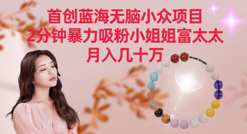 首创蓝海无脑小众项目，2分钟暴力吸粉小姐姐富太太，月入几十万【揭秘】-吾爱自习网