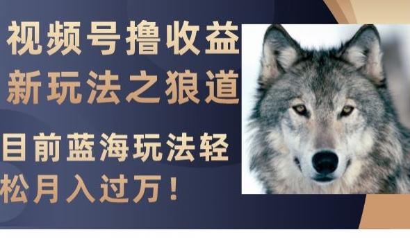 视频号撸收益新玩法之狼道，目前蓝海玩法，轻松月入过万【揭秘】-吾爱自习网