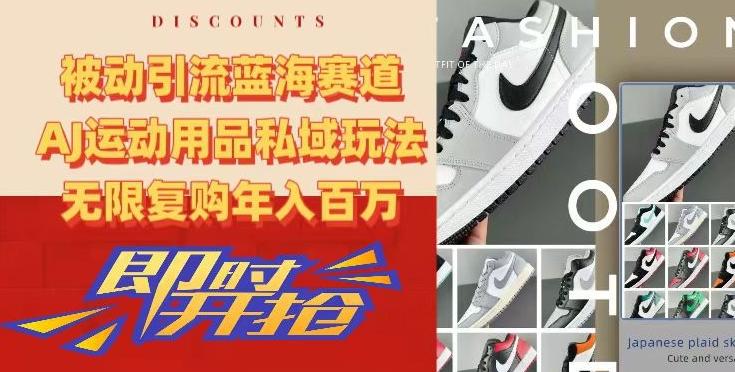 被动引流蓝海赛道，AJ运动用品私域玩法，无限复购年入百万【揭秘】-吾爱自习网