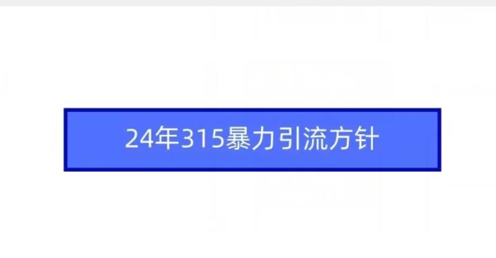 24年315暴力引流方针-吾爱自习网