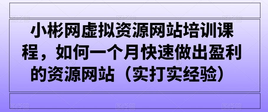 小彬网虚拟资源网站培训课程，如何一个月快速做出盈利的资源网站(实打实经验)-吾爱自习网