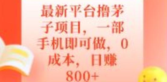 最新平台撸茅子项目，一部手机即可做，0成本，日赚800+-吾爱自习网