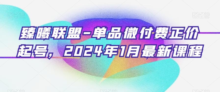 臻曦联盟-单品微付费正价起号，2024年1月最新课程-吾爱自习网