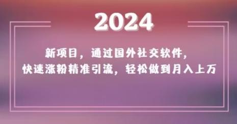 2024新项目，通过国外社交软件，快速涨粉精准引流，轻松做到月入上万【揭秘】-吾爱自习网
