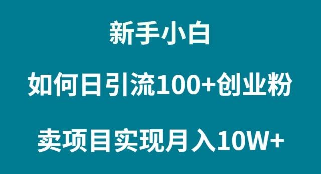 (9556期)新手小白如何通过卖项目实现月入10W+-吾爱自习网