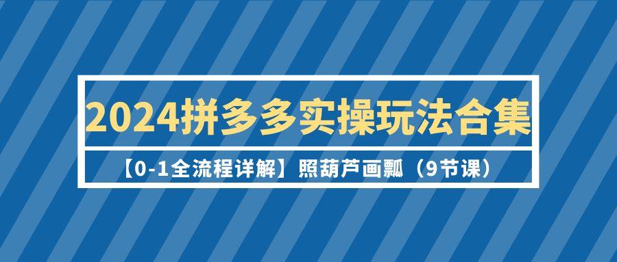 (9559期)2024拼多多实操玩法合集【0-1全流程详解】照葫芦画瓢(9节课)-吾爱自习网