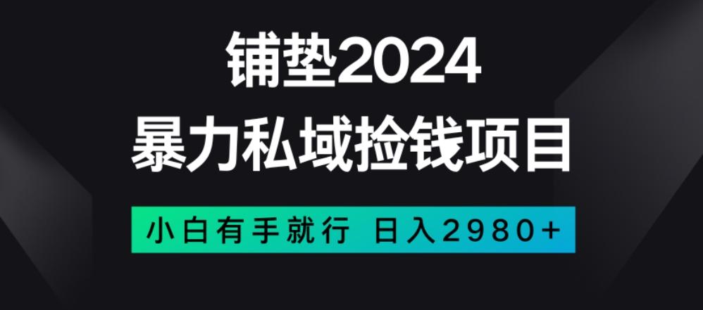 暴力私域捡钱项目，小白无脑操作，日入2980【揭秘】-吾爱自习网