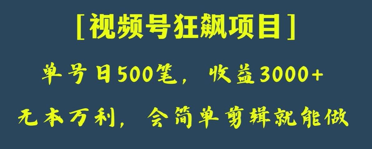 日收款500笔，纯利润3000+，视频号狂飙项目，会简单剪辑就能做【揭秘】-吾爱自习网