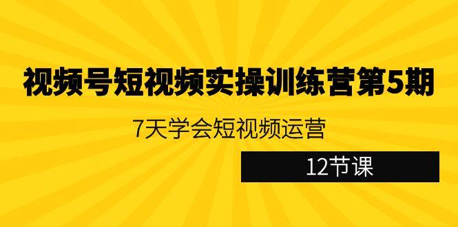 视频号短视频实操训练营第5期：7天学会短视频运营(12节课)-吾爱自习网