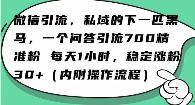 怎么搞精准创业粉？微信新赛道，每天一小时，利用Ai一个问答日引100精准粉-吾爱自习网