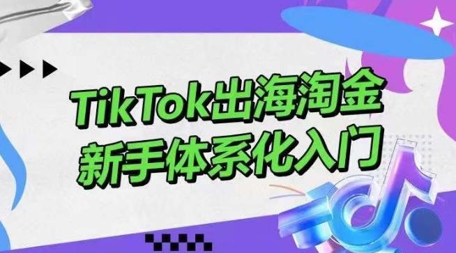 TikTok出海淘金，新手体系化入门，零基础快速入门，掌握短视频、直播带货等引流到变现的知识-吾爱自习网