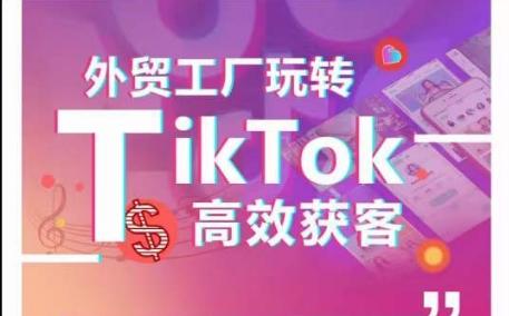 外贸工厂玩转TikTok高效获客，多种引流方式与账号定位技巧，拆解爆款短视频打造成功案例-吾爱自习网