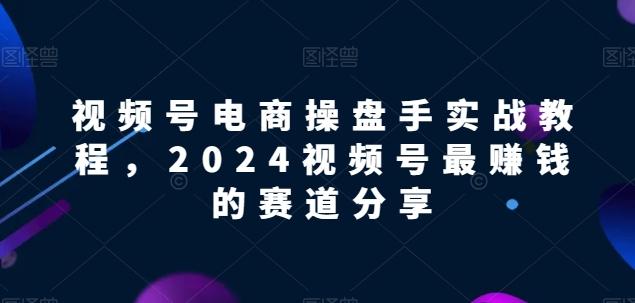 视频号电商实战教程,2024视频号最赚钱的赛道分享-吾爱自习网